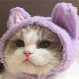 Meet your Posher, Jay